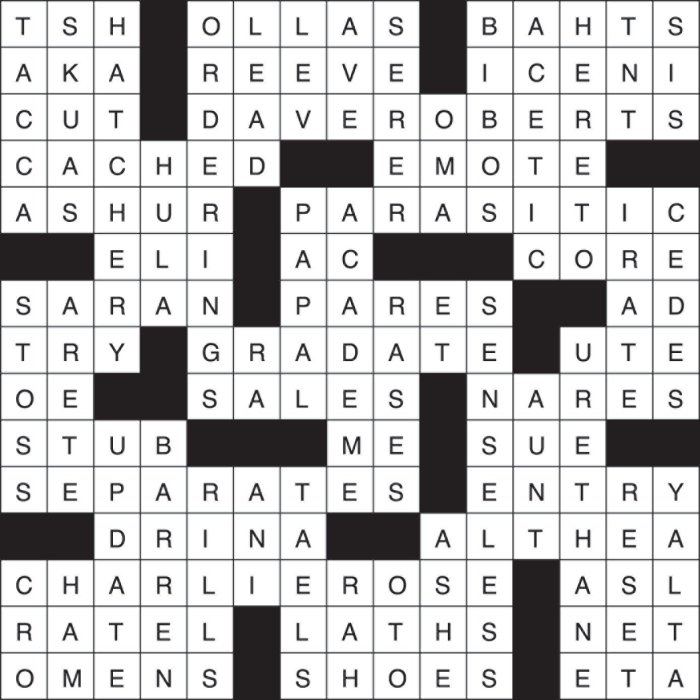 Made a case in court crossword