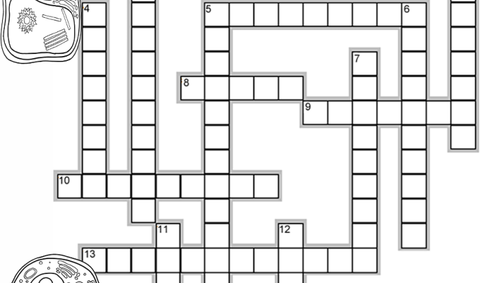 Cell organelles crossword puzzle answer key pdf