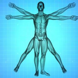 Introduction to mastering anatomy and physiology