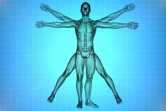 Introduction to mastering anatomy and physiology