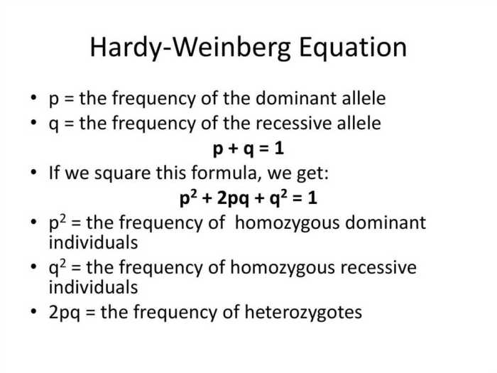 The hardy-weinberg equation pogil answer key